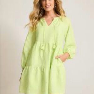 Banana Republic Light Green Long Sleeve Dress